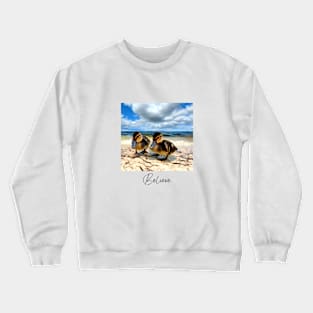 Believe - Digitalart Baby Ducks On A Sandy Beach Crewneck Sweatshirt